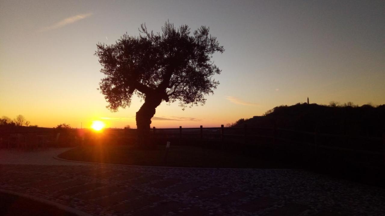 Althea * Vittorio Veneto